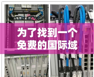 为了找到一个免费的国际域名加速器，以下是详细的步骤和建议