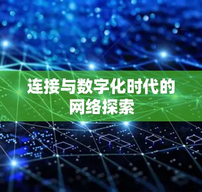 连接与数字化时代的网络探索