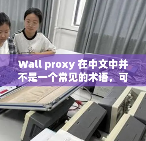 Wall proxy 在中文中并不是一个常见的术语，可能有以下几种解释
