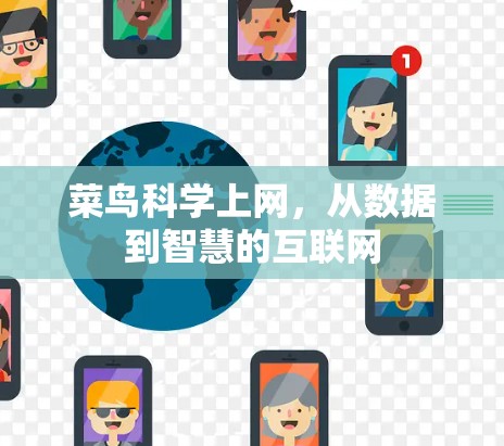 菜鸟科学上网，从数据到智慧的互联网
