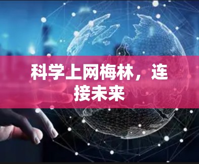 科学上网梅林，连接未来