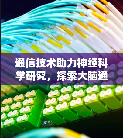 通信技术助力神经科学研究，探索大脑通信新维度