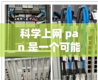 科学上网 pan 是一个可能指的工具名称，具体含义取决于上下文。以下是一些可能的解释