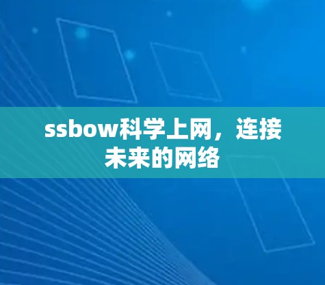 ssbow科学上网，连接未来的网络