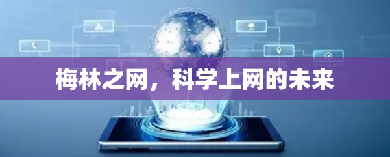 梅林之网，科学上网的未来