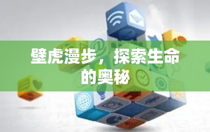 壁虎漫步，探索生命的奥秘