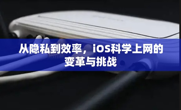 从隐私到效率，iOS科学上网的变革与挑战