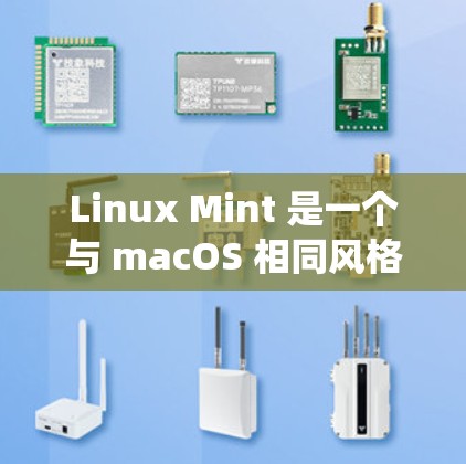 Linux Mint 是一个与 macOS 相同风格的互联网管理工具，专为Linux系统设计，旨在提供高效、便捷的互联网访问和管理功能。以下是对其功能和使用方法的详细说明