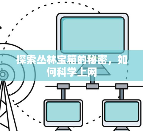 探索丛林宝箱的秘密，如何科学上网