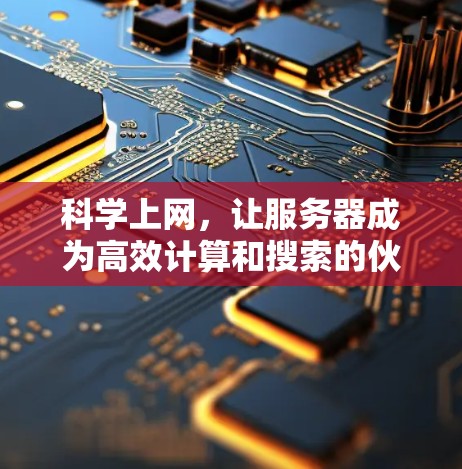 科学上网，让服务器成为高效计算和搜索的伙伴