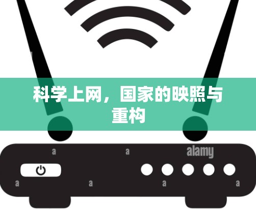 科学上网，国家的映照与重构
