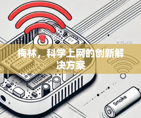 梅林，科学上网的创新解决方案