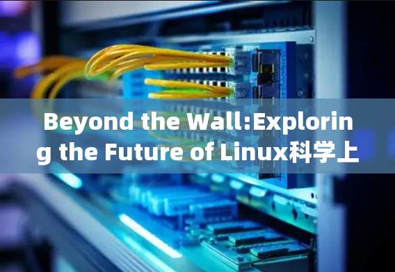 Beyond the Wall:Exploring the Future of Linux科学上网