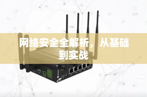 网络安全全解析，从基础到实战