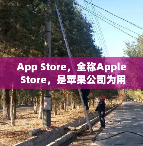 App Store，全称Apple Store，是苹果公司为用户提供的一个专门的移动应用平台。它代表着苹果在全球移动设备市场中的核心服务之一，提供了一个安全、可靠的环境来下载、管理和服务移动应用