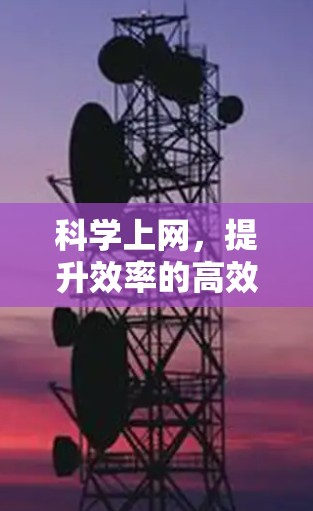 科学上网，提升效率的高效工具指南