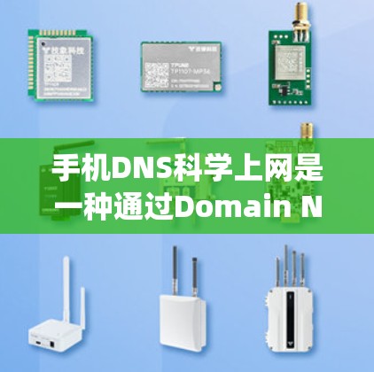 手机DNS科学上网是一种通过Domain Name System（DNS）技术在手机设备上直接访问网络资源的工具。以下是关于该服务的详细说明