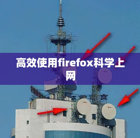 高效使用firefox科学上网
