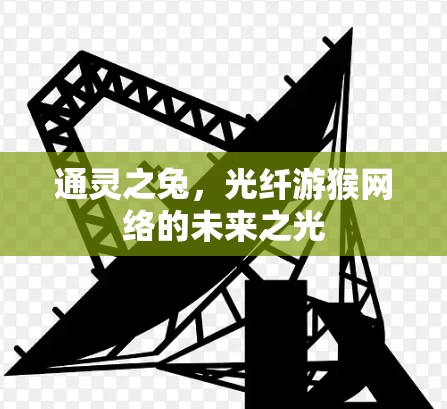 通灵之兔，光纤游猴网络的未来之光