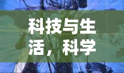 科技与生活，科学上网与谷歌云的未来