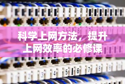 科学上网方法，提升上网效率的必修课
