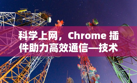 科学上网，Chrome 插件助力高效通信—技术与实践的完美结合
