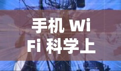 手机 WiFi 科学上网，你的 Wireless世界新发现