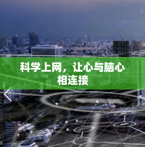 科学上网，让心与脑心相连接