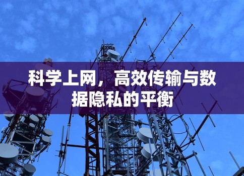 科学上网，高效传输与数据隐私的平衡