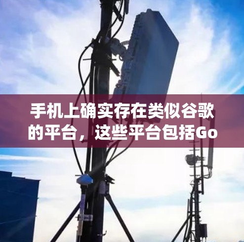 手机上确实存在类似谷歌的平台，这些平台包括Google Play和Google Play Universe。以下是对这些平台的详细分析