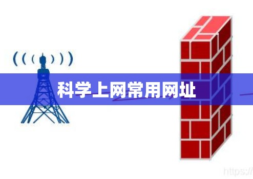 科学上网常用网址