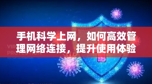 手机科学上网，如何高效管理网络连接，提升使用体验？
