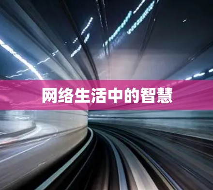 网络生活中的智慧
