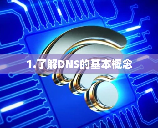 1.了解DNS的基本概念