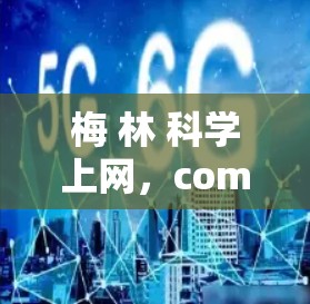 梅 林 科学上网，comm工人的智慧与未来