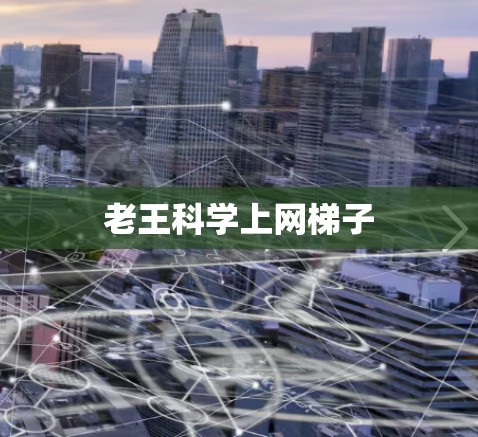 老王科学上网梯子