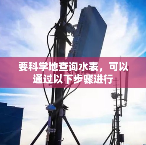 要科学地查询水表，可以通过以下步骤进行