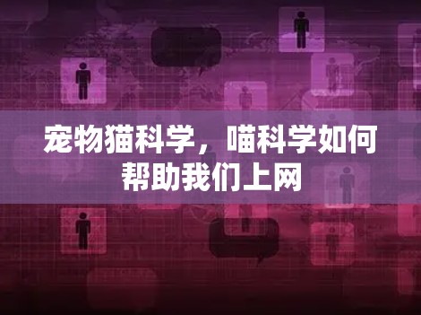 宠物猫科学，喵科学如何帮助我们上网