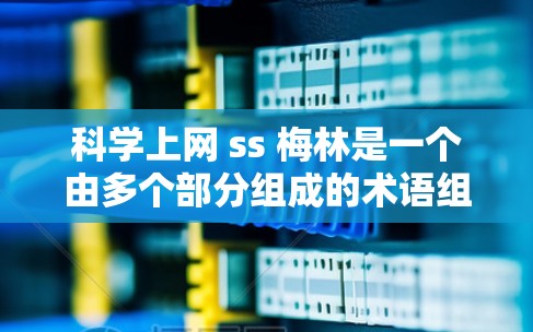 科学上网 ss 梅林是一个由多个部分组成的术语组合，可能涉及多个不同的概念。通过对各个部分的分析，可以得出以下几种可能的解释