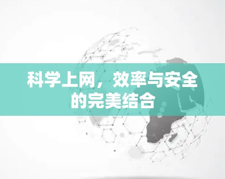 科学上网，效率与安全的完美结合