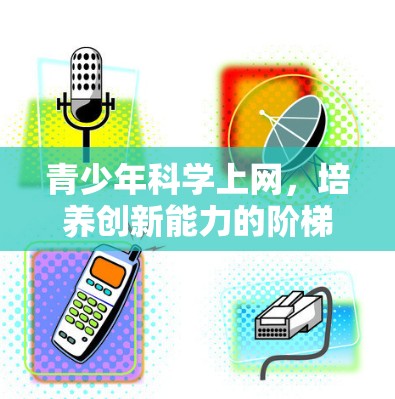 青少年科学上网，培养创新能力的阶梯