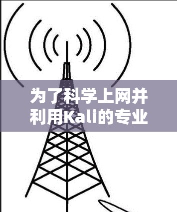 为了科学上网并利用Kali的专业功能，您可以按照以下步骤进行