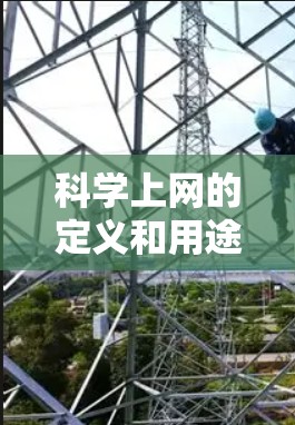 科学上网的定义和用途需要明确，才能全面评估其对个人和学术环境的影响。以下是基于上述思考的分步总结