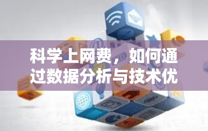 科学上网费，如何通过数据分析与技术优化提升效率