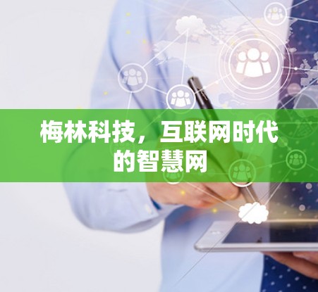 梅林科技,互联网时代的智慧网 梅林科技,互联网时代的智慧网