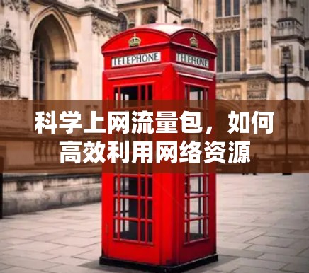 科学上网流量包，如何高效利用网络资源