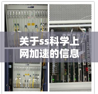 关于ss科学上网加速的信息，目前我没有找到确切的定义或详细内容。以下是一些可能的解释和建议