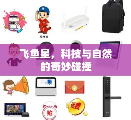 飞鱼星，科技与自然的奇妙碰撞