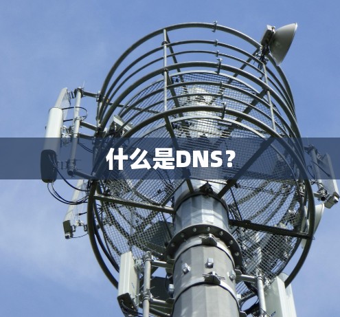 什么是DNS？