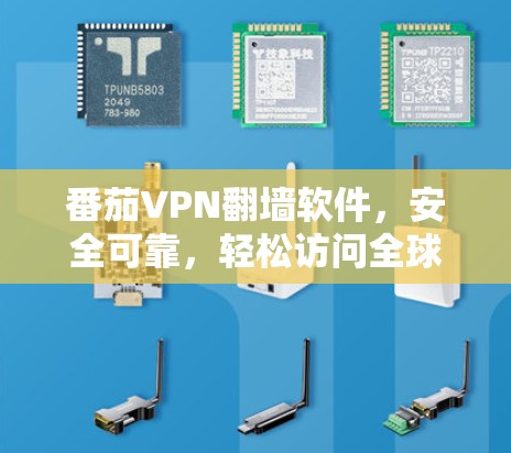番茄VPN翻墙软件，安全可靠，轻松访问全球网络